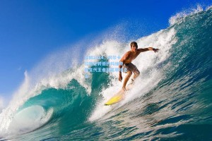 温网2024，阿尔卡拉斯逆转德约科维奇，新生代王者加冕草地之王