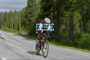 欧冠焦点战裁判任命揭晓 西班牙名哨平方哥执哨利物浦迎战埃因霍温