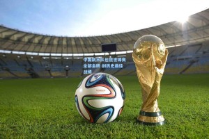 中国跳水队包揽世锦赛全部金牌 创历史最佳战绩