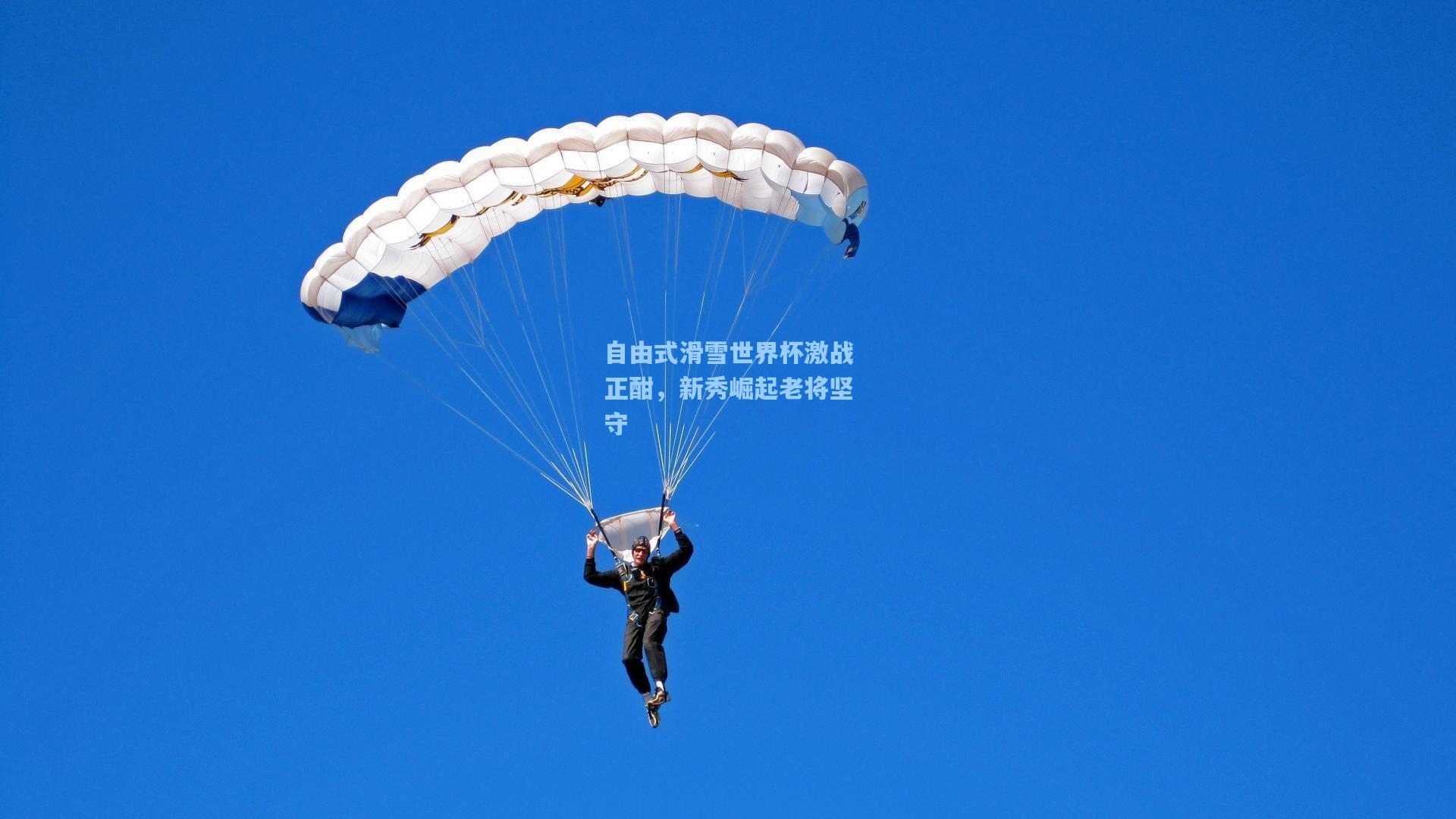 自由式滑雪世界杯激战正酣，新秀崛起老将坚守