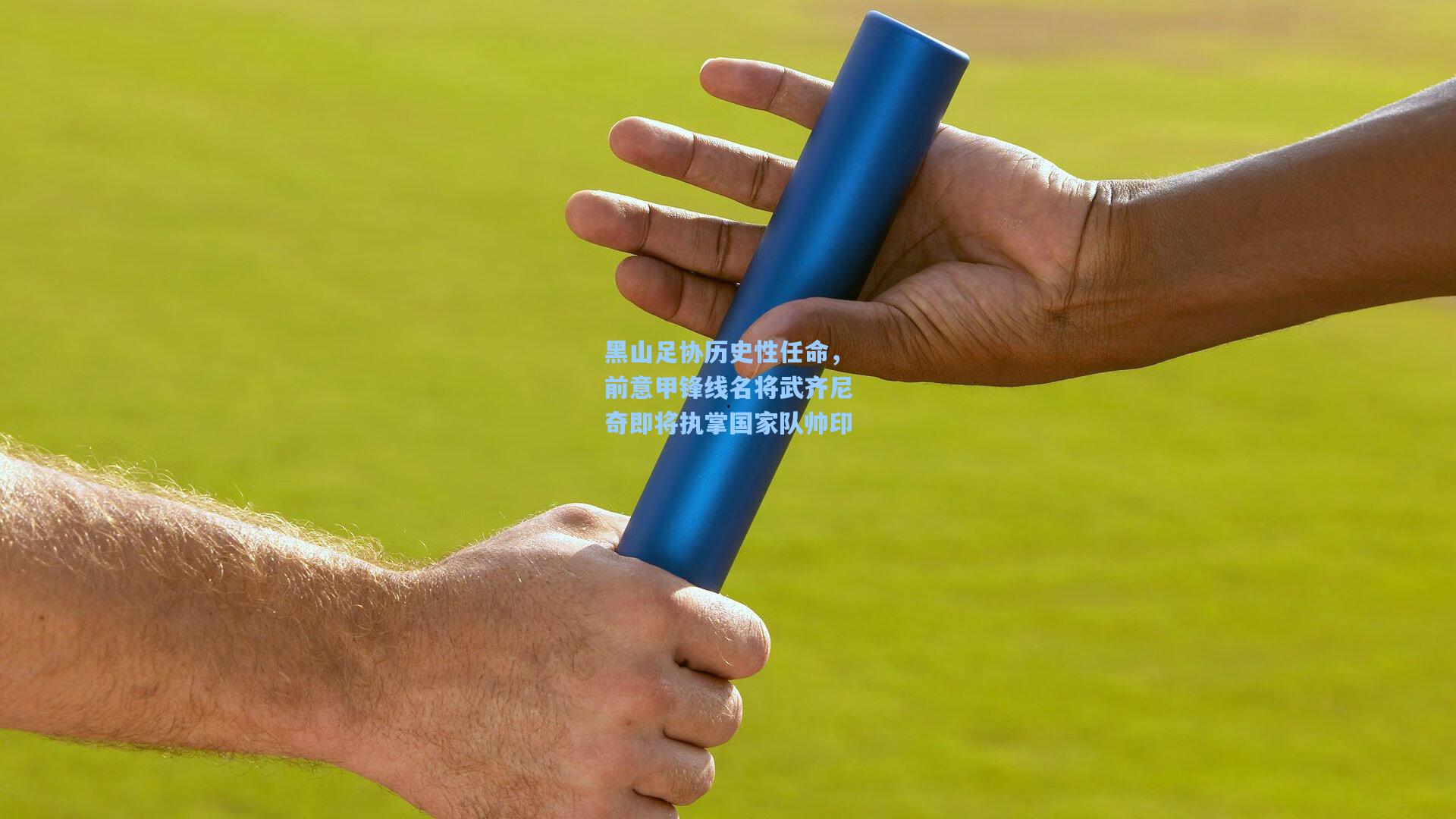 黑山足协历史性任命，前意甲锋线名将武齐尼奇即将执掌国家队帅印