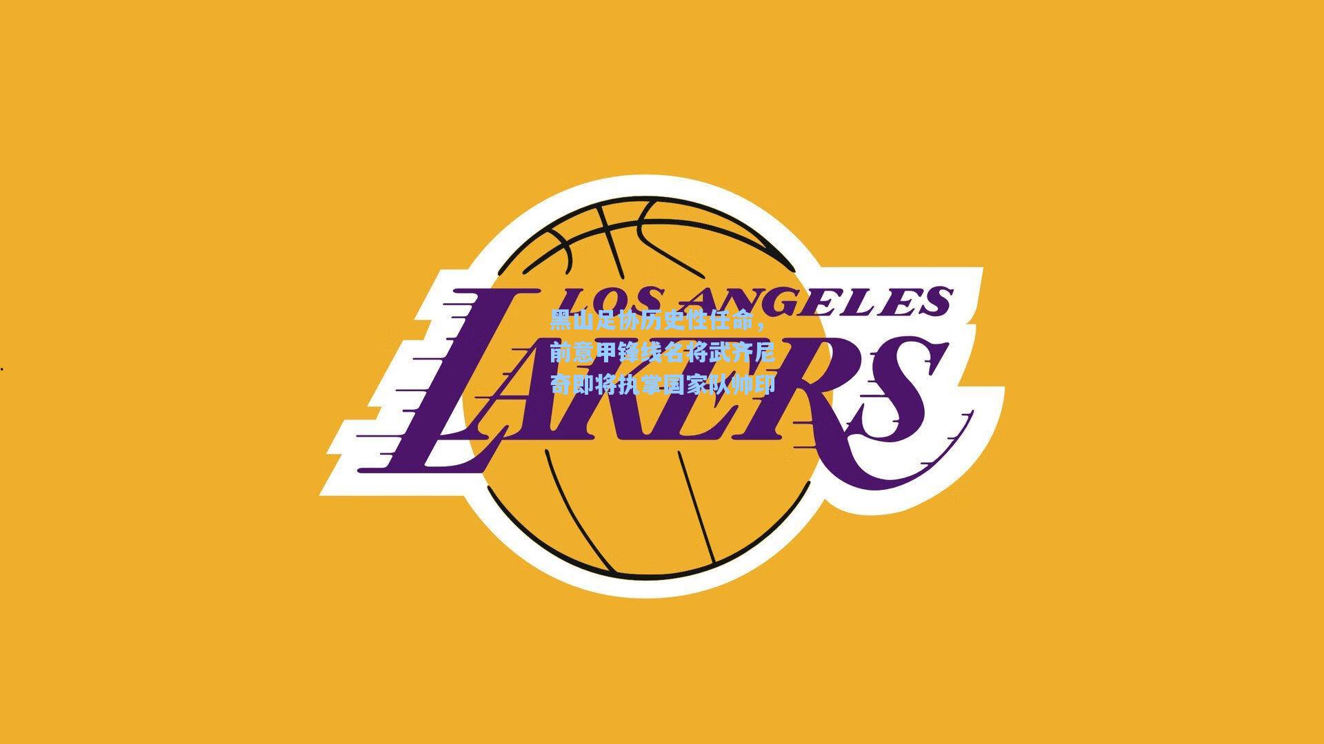 黑山足协历史性任命，前意甲锋线名将武齐尼奇即将执掌国家队帅印